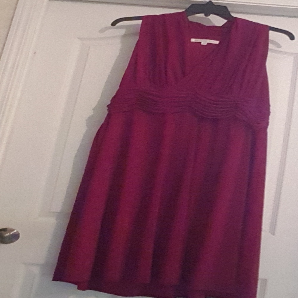 Womens Evan Picone cranberry color dress.
